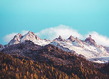 彩票合买-字母哥钦定！雄鹿选帅锁定阿德里安·格里芬