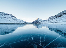 彩票合买-字母哥钦定！雄鹿选帅锁定阿德里安·格里芬