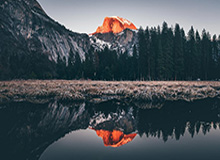 彩票合买-字母哥钦定！雄鹿选帅锁定阿德里安·格里芬